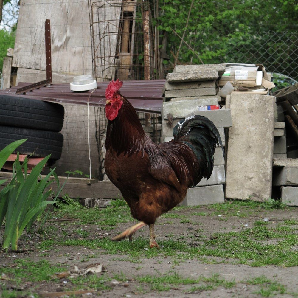 Фотография автора Евгений