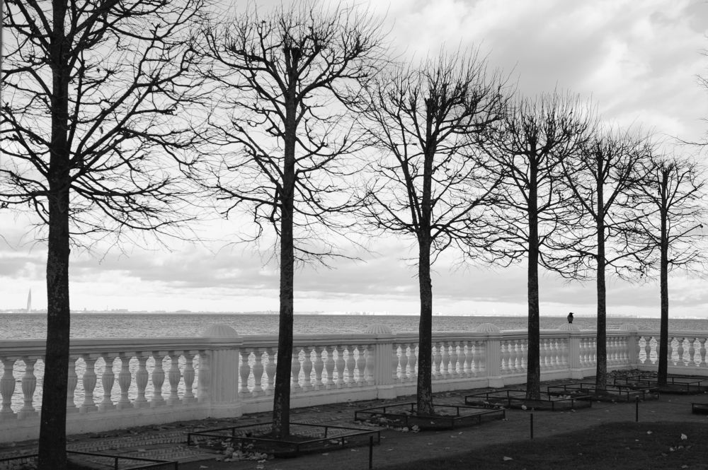 Фотография автора Альбина Хальяк