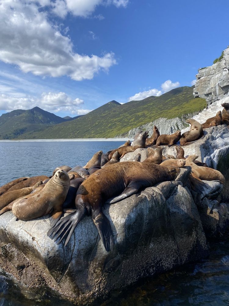 Photograph by Дарья Сидорова