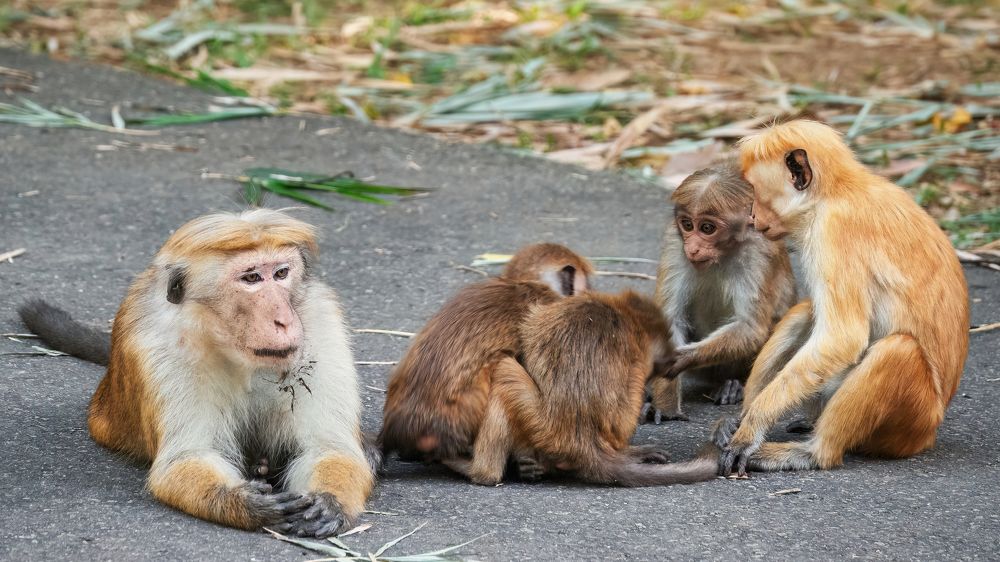 Photograph by Дудников Александр