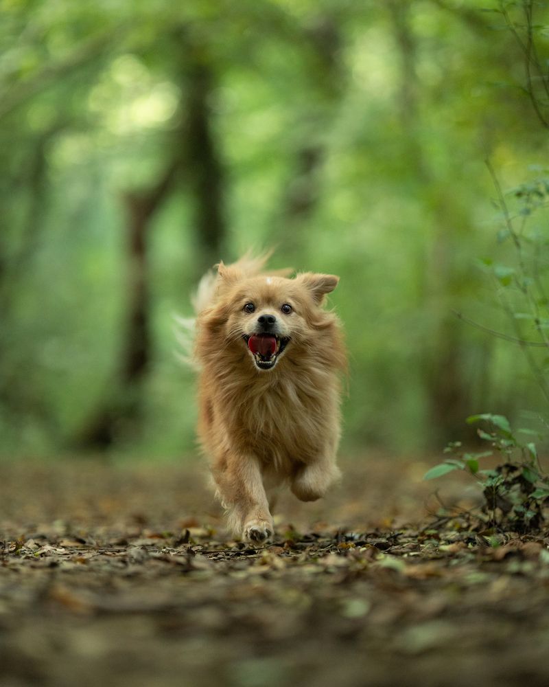 Photograph by Артём Гуцалюк