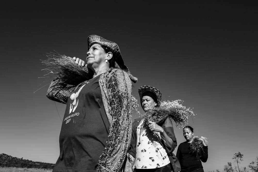 Photograph by FLAVIO SOUZA CRUZ