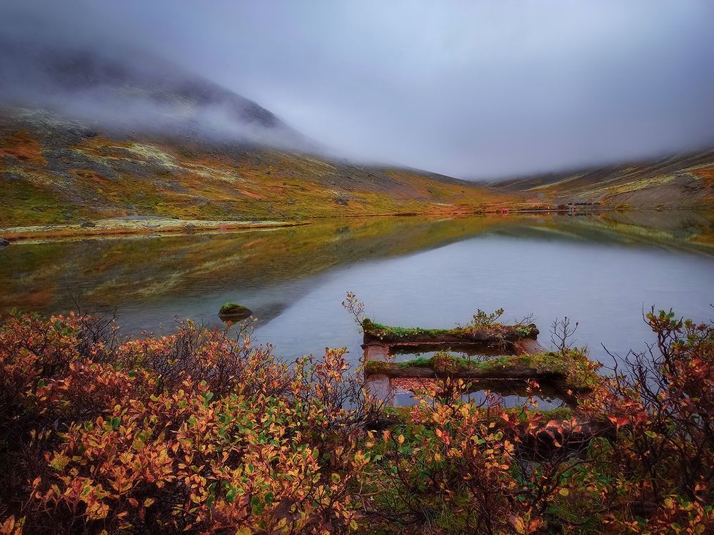 Photograph by Марина Мурашова