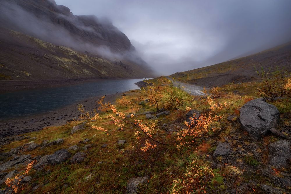 Photograph by Марина Мурашова