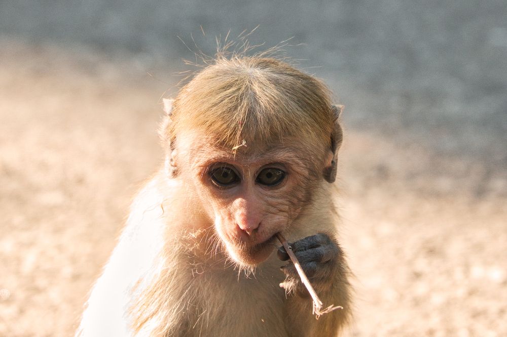 Photograph by Дудников Александр