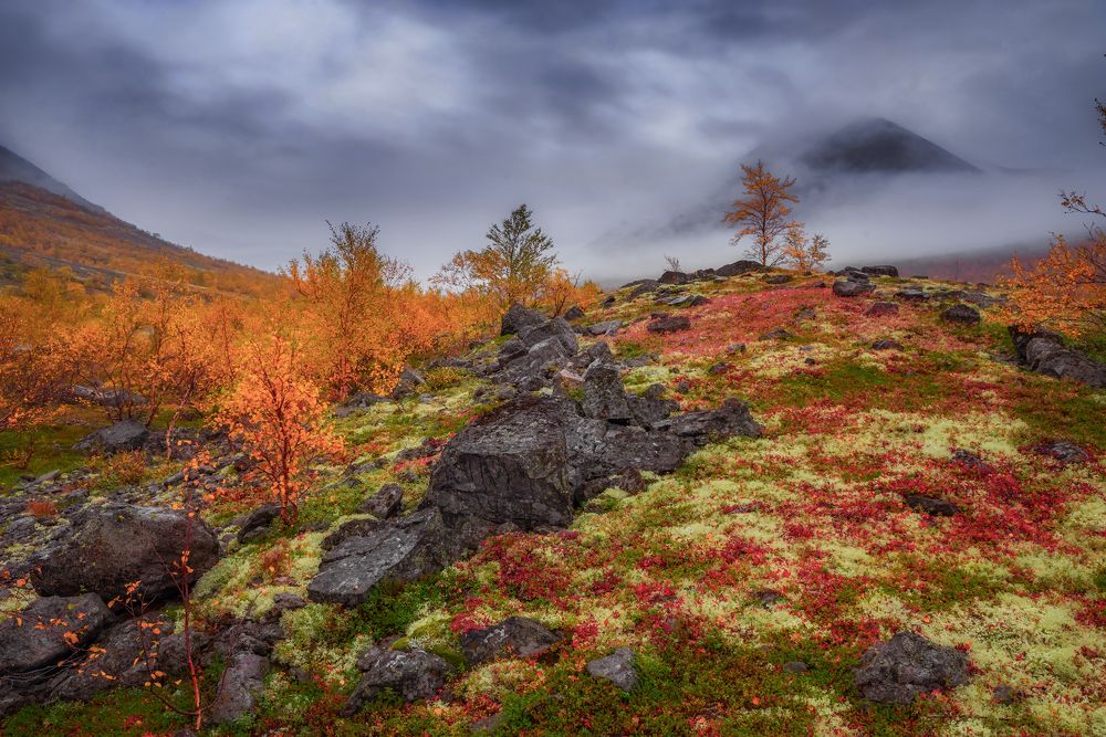 Photograph by Марина Мурашова