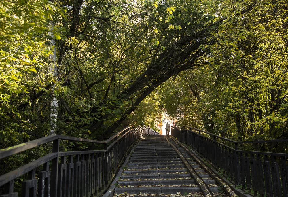 Фотография автора Андрей Рогов