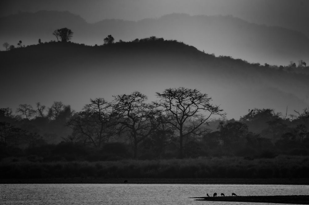 Photograph by Arnold Judson Samuel