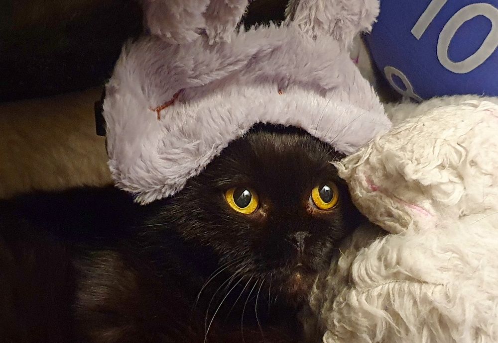 Photograph by Марина Чуева