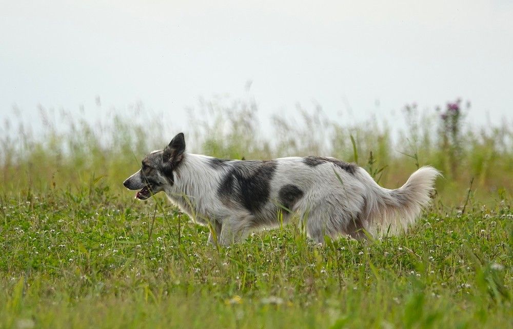 Photograph by Zakharov Matvey