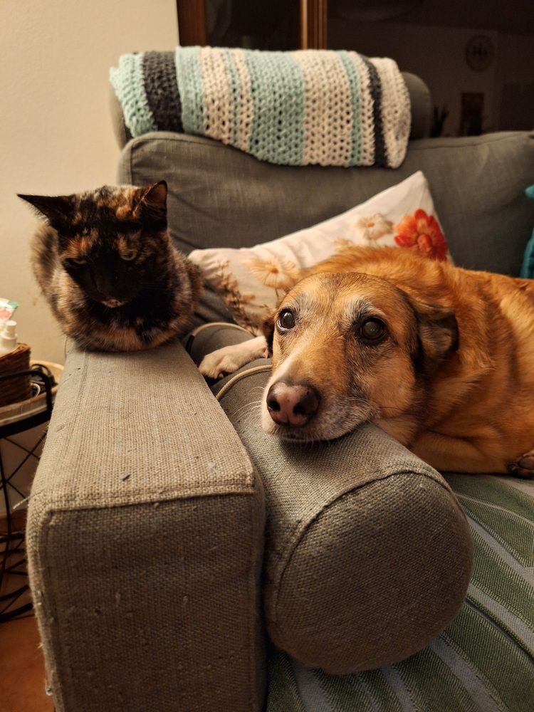 Photograph by Sonia Crotta