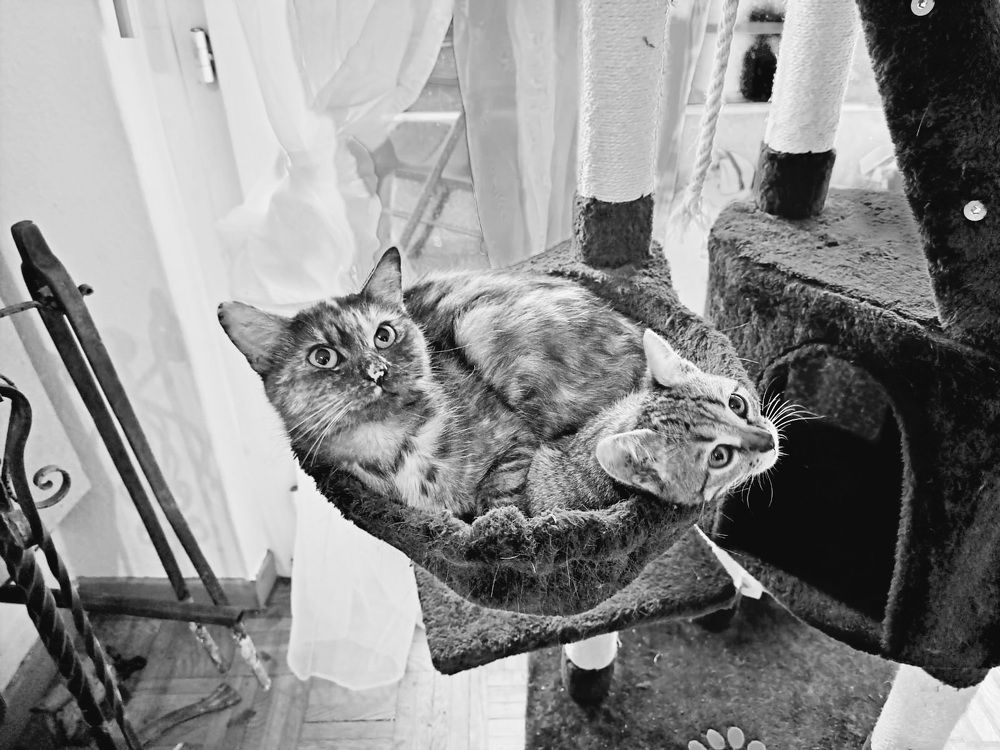 Photograph by Sonia Crotta