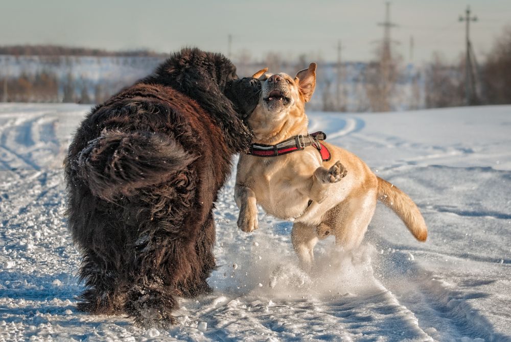 Photograph by Олег Тыркин