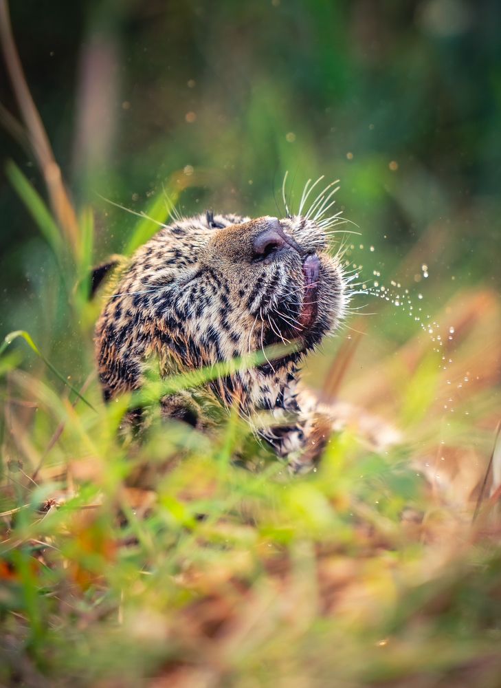 Photograph by Merche Llobera