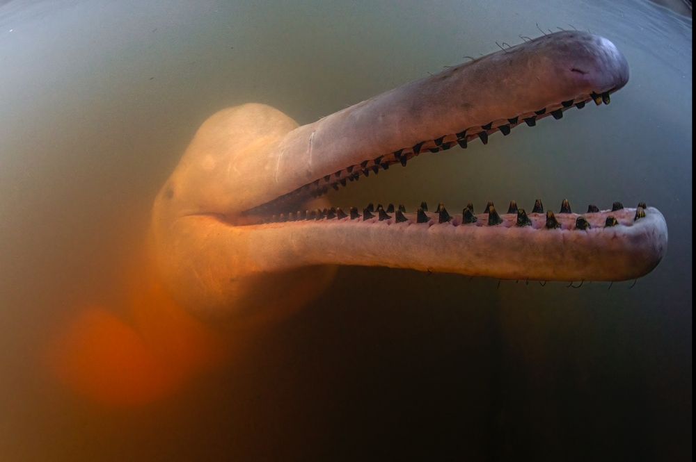 Photograph by Merche Llobera