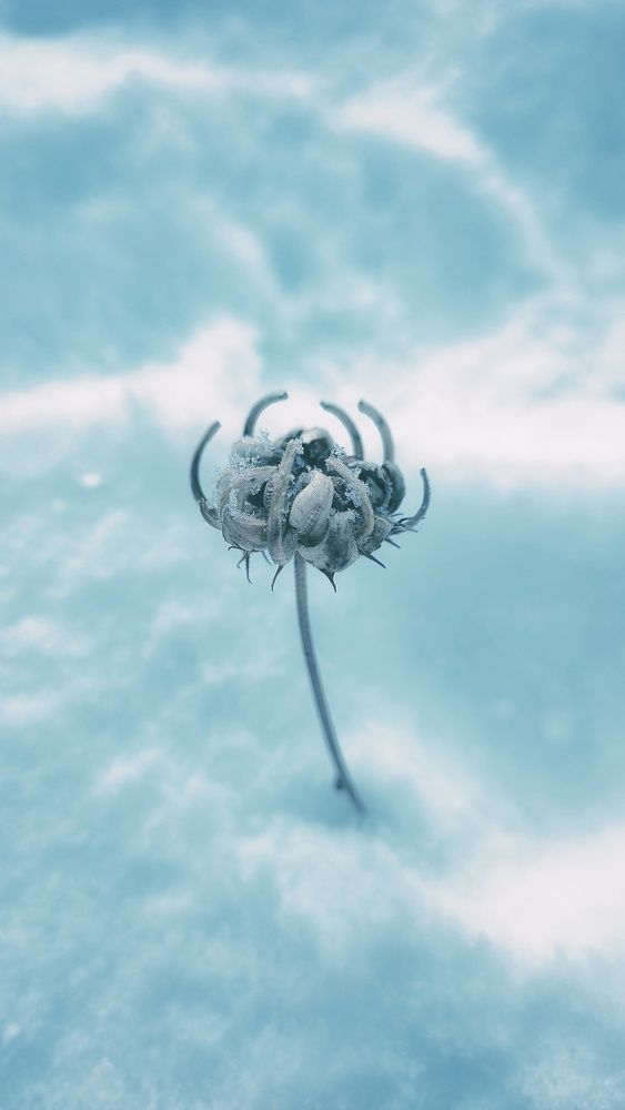 Photograph by Наталья Гущина