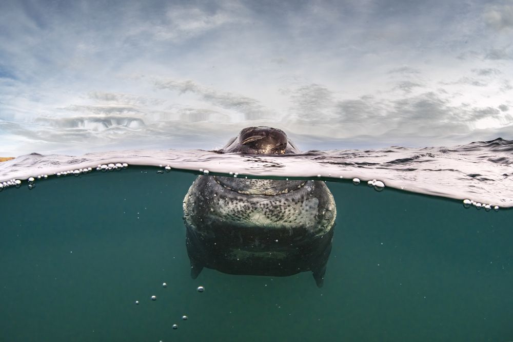 Photograph by Merche Llobera