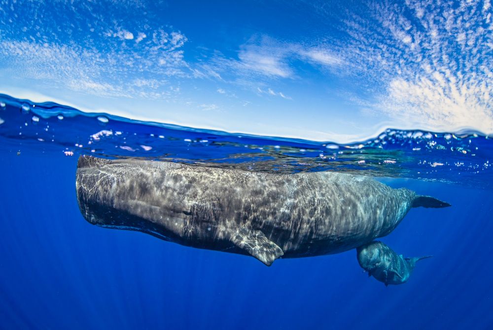 Photograph by Merche Llobera