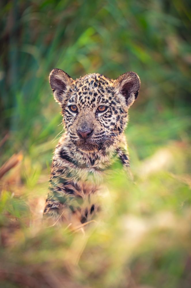 Photograph by Merche Llobera