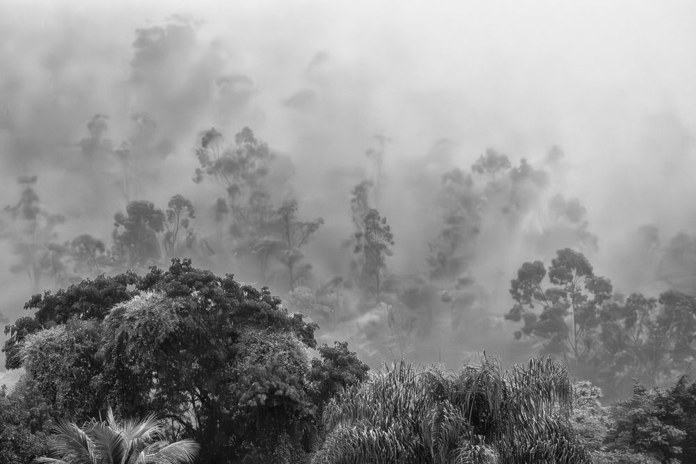 Photograph by CARLOS KIFFER