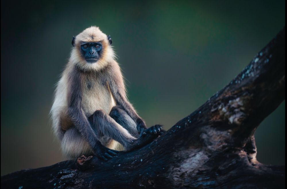 Photograph by Merche Llobera