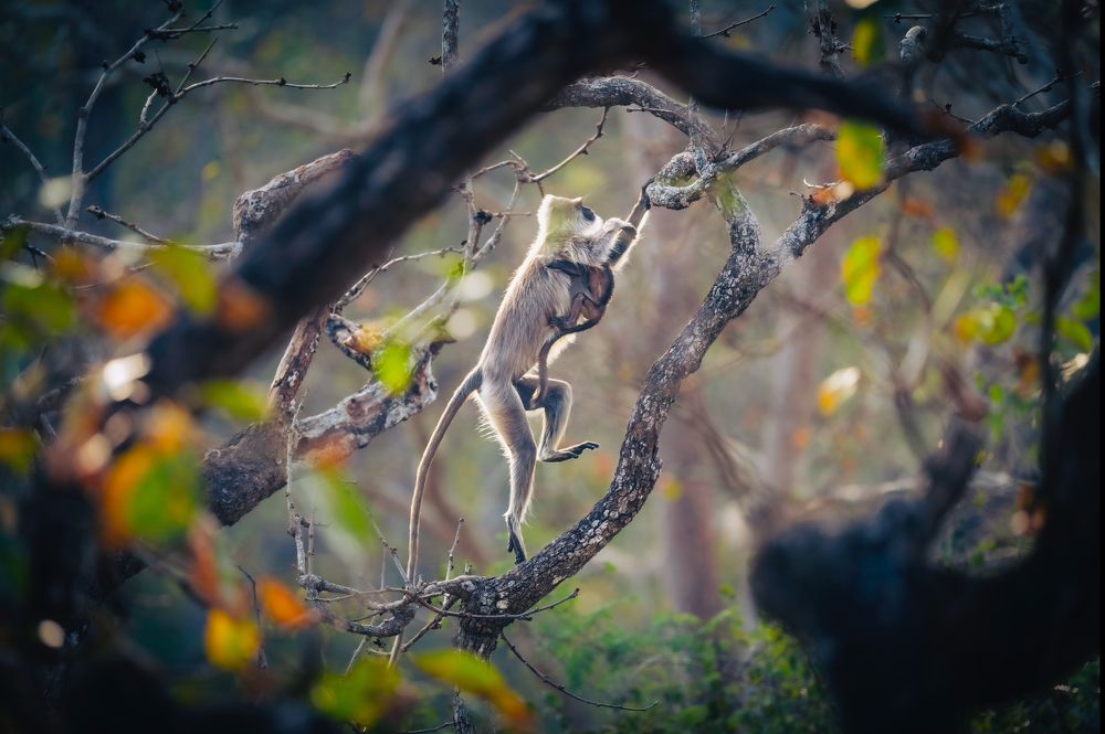 Photograph by Merche Llobera