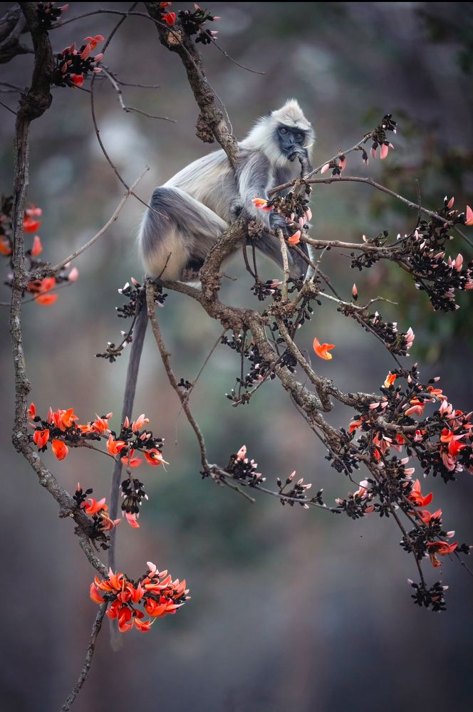 Photograph by Merche Llobera