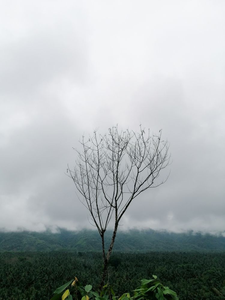 Photograph by Danny Boy Basaya