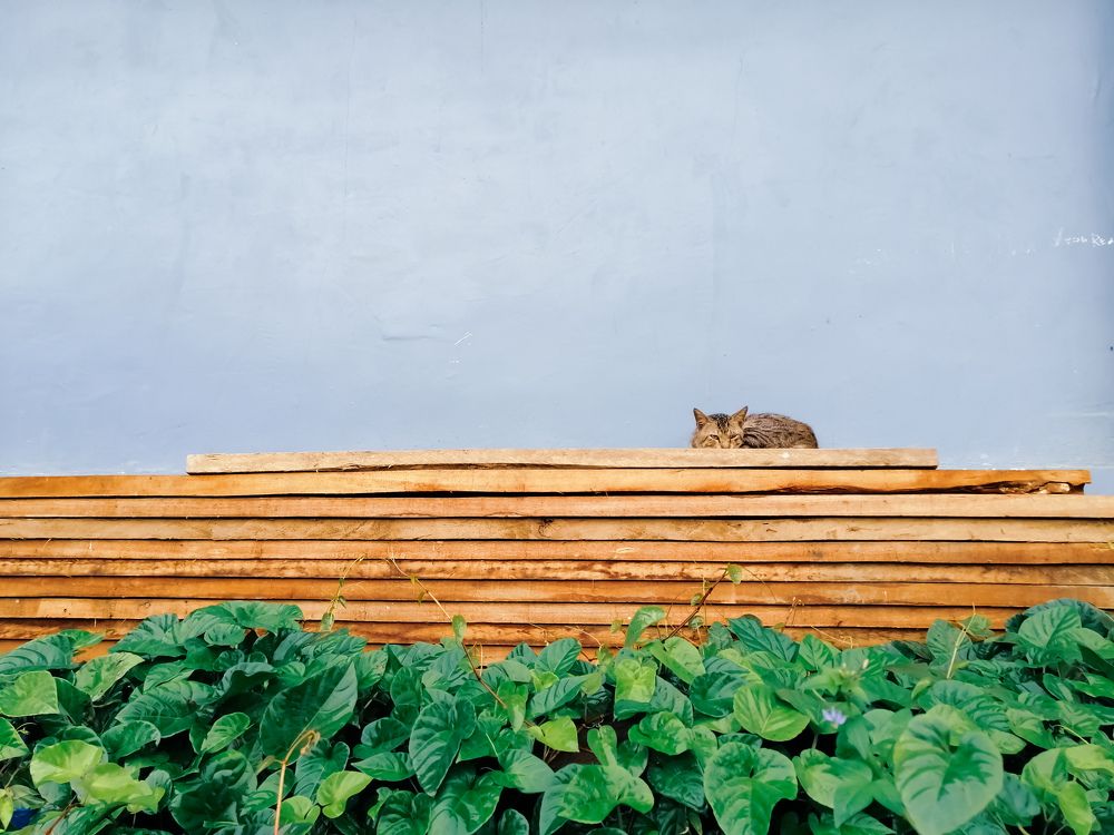 Photograph by Danny Boy Basaya