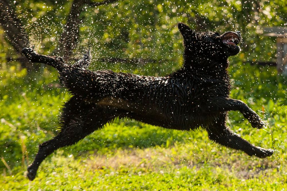 Photograph by Артём