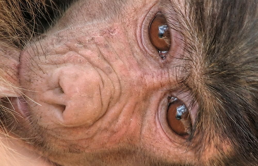 Photograph by Marcelo Luzzi