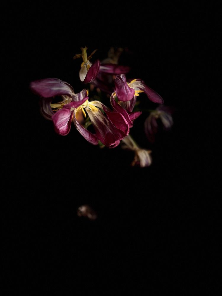 Photograph by Юлия