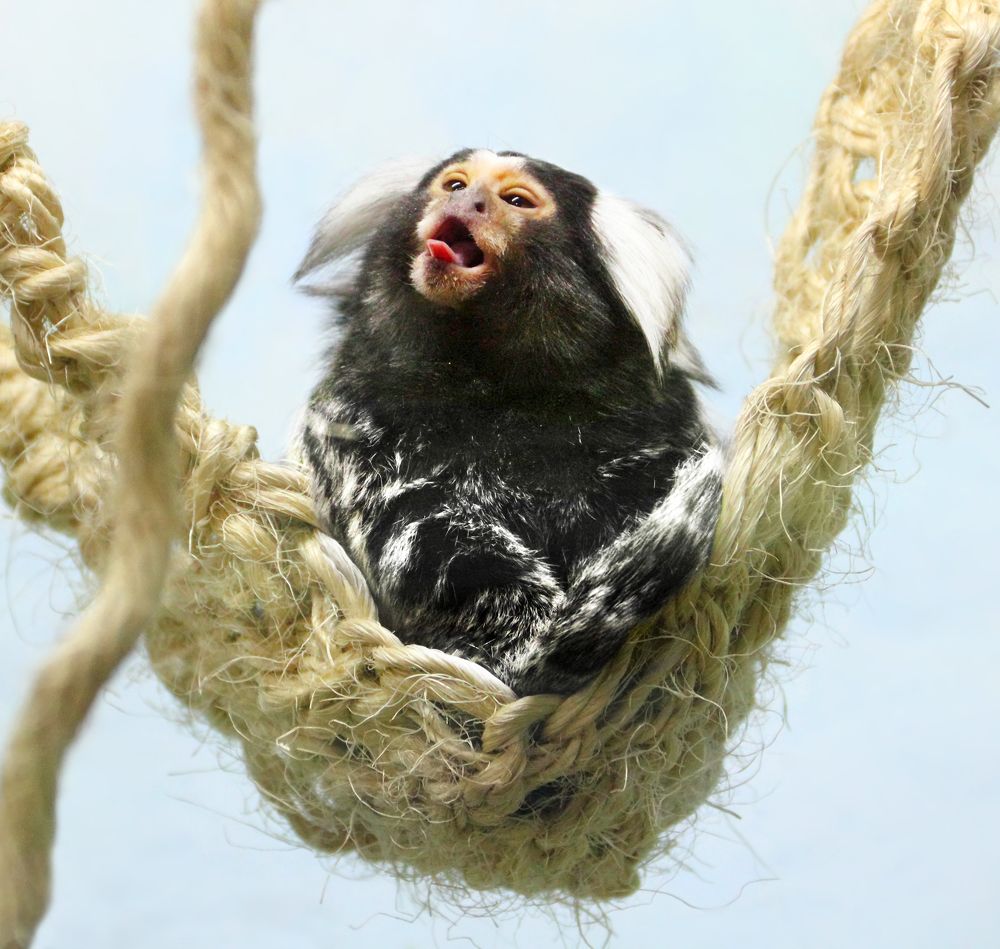 Фотография автора Кухта Мария