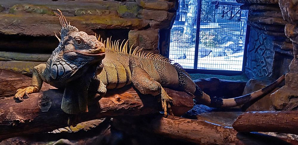 Photograph by Ирина Архипова