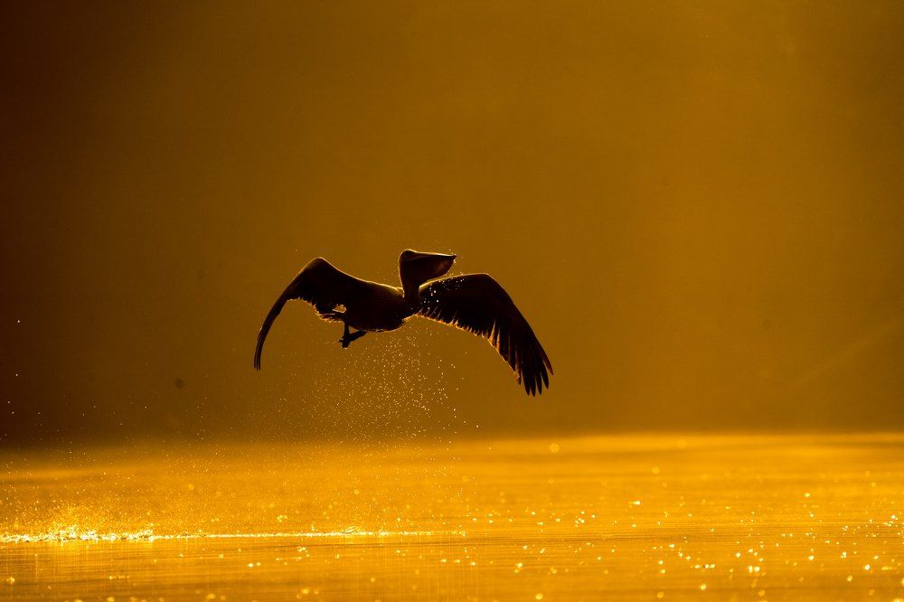 Photograph by Muralitharan M