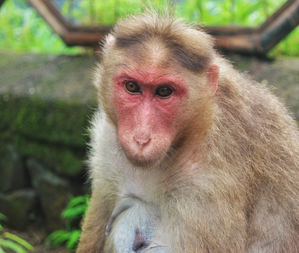 Photograph by Hardeep Solanki