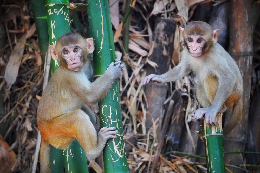 Photograph by  Saurabh