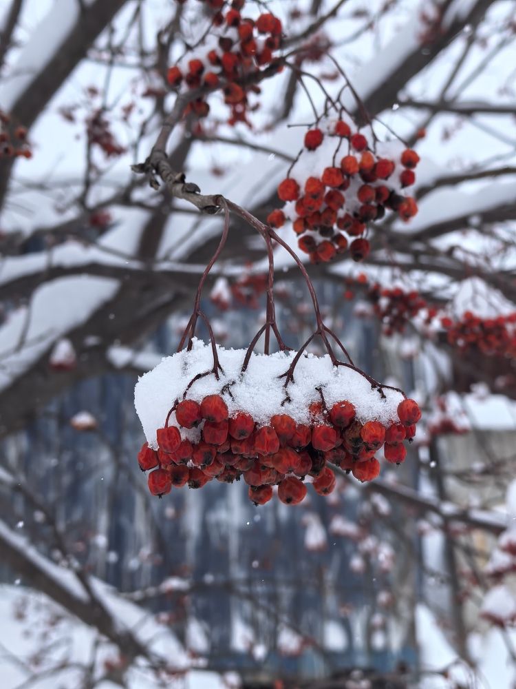 Photograph by Валентина Фомичёва
