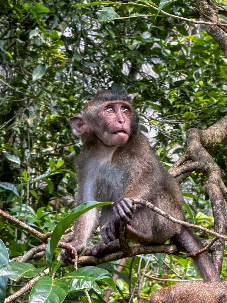 Photograph by Яна Лугинина