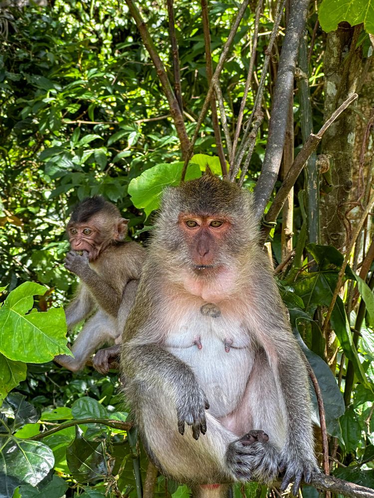 Photograph by Яна Лугинина