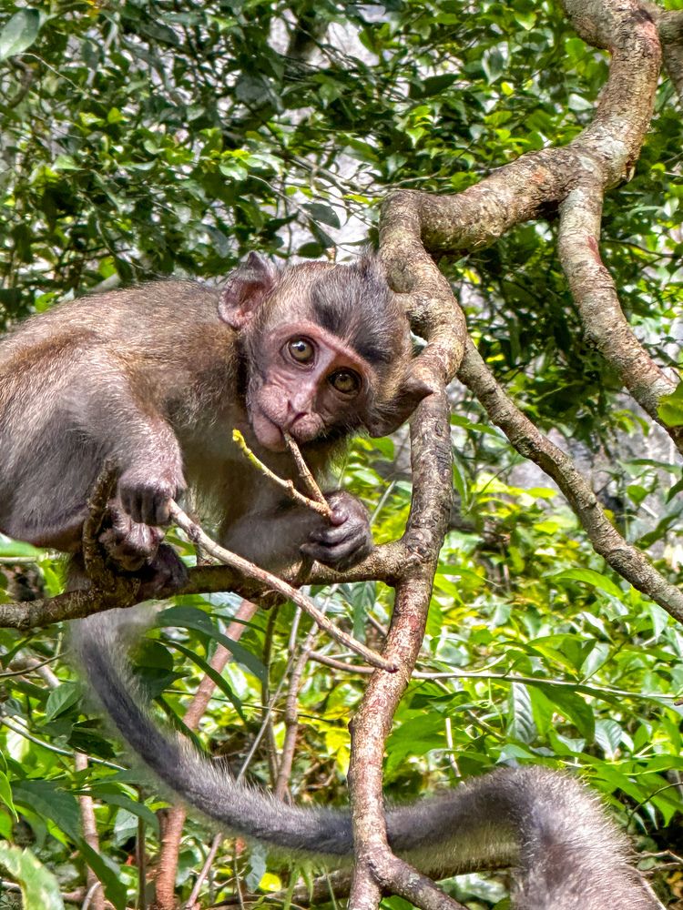 Photograph by Яна Лугинина