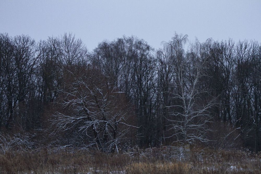 Photograph by Капанов Владислав