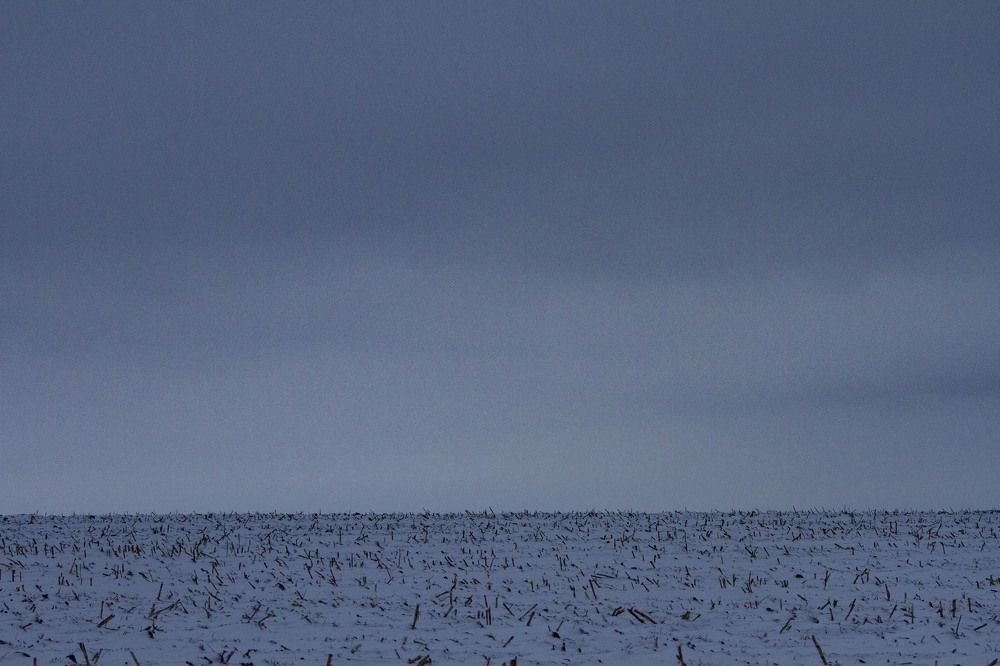 Photograph by Капанов Владислав