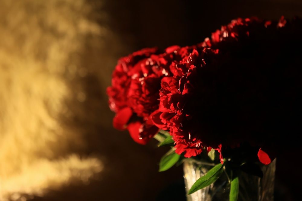 Photograph by Татьяна Кауфман