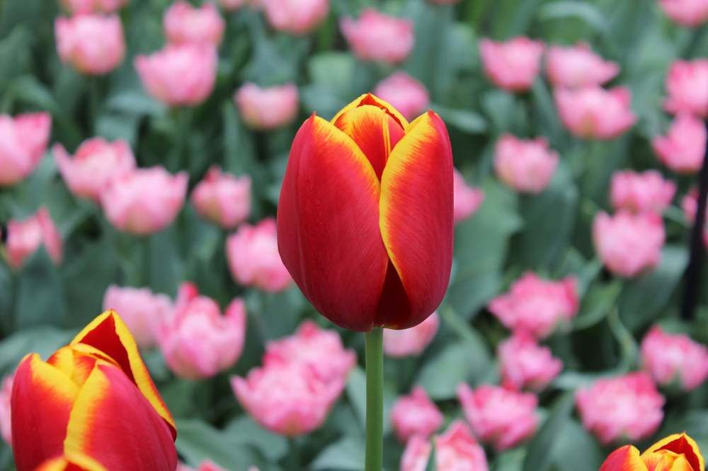 Photograph by Hazel Calvo