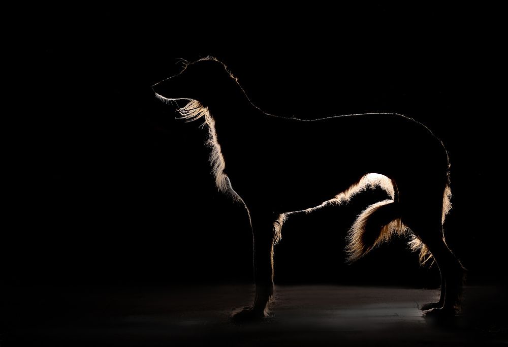 Photograph by Татьяна Кауфман