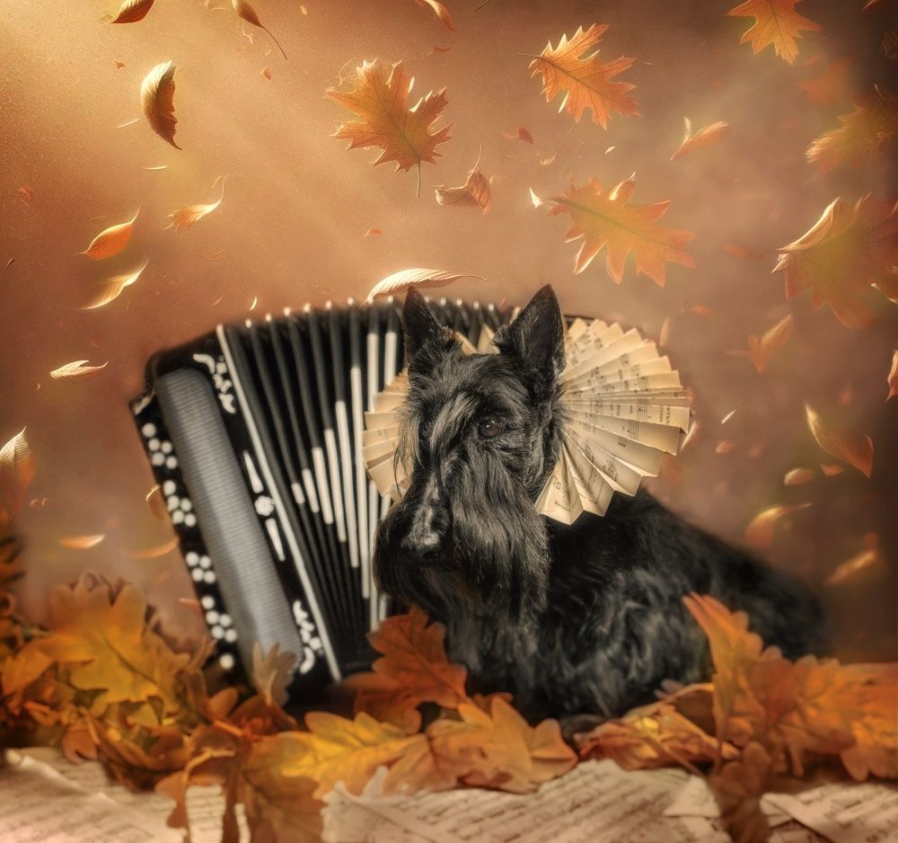 Photograph by Natalya Rembeza