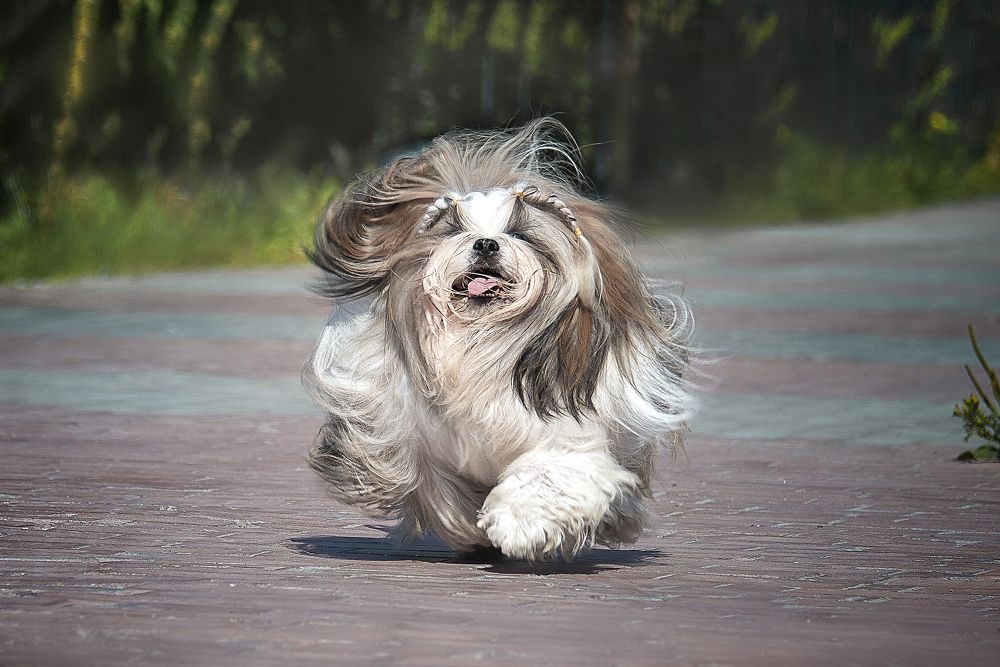 Photograph by Оксана Кузнецова