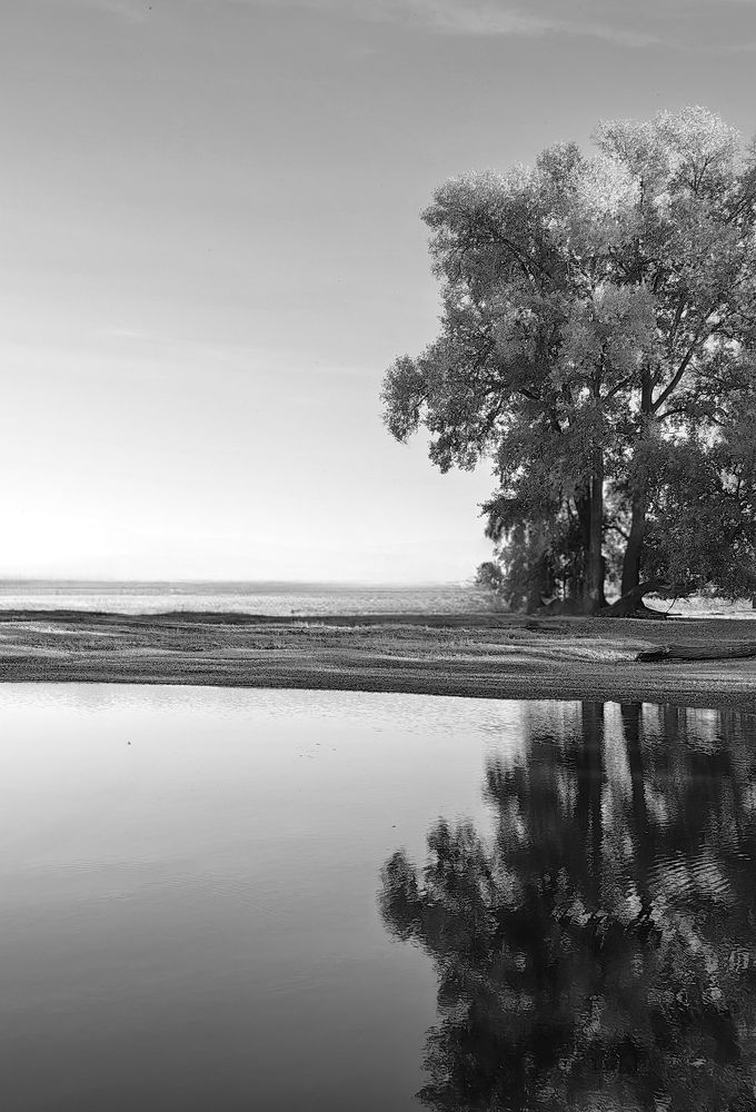 Photograph by Сергей Зайцев