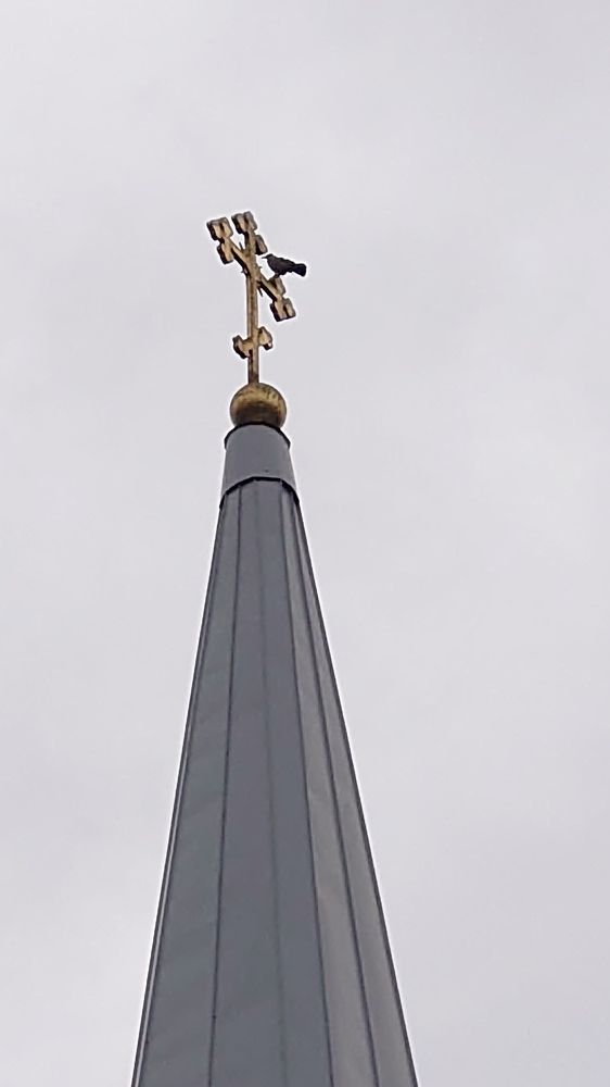 Photo #11744760